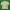 Lyle & Scott Vintage Casual Casual shirt Pria green photo 2