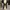 Outer topshop photo 1