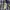 Dickies Vintage Casual Casual shirt Pria blue photo 4