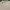Kappa Vintage Casual T-shirt Pria white photo 4