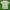 Deuter Vintage Casual T-shirt Pria gray photo 1