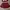 Dress merah cantik anak photo 1