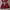 Dress merah cantik anak photo 2