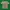 Zara Vintage Casual T-shirt Pria Green