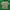 Zara Vintage Casual T-shirt Pria green photo 2