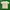 Burberry Vintage Casual T-shirt Pria gray photo 2