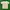 Burberry Vintage Casual T-shirt Pria Gray