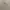 Burberry Vintage Casual T-shirt Pria gray photo 6