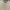 Burberry Vintage Casual T-shirt Pria gray photo 5