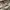 Burberry Vintage Casual T-shirt Pria gray photo 4