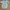 Jumper Gentong Seed Baby  photo 2