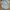 Jumper Gentong Seed Baby  photo 1