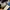Reebok Vintage Casual Jersey Pria white photo 6
