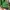 Sportswear Casual Fleece Pria green yellow photo 3