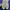 Sepatu slip on nfl photo 6
