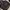 SIGILISM DARKBROWN LONGSLEEVE  photo 2