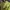 Mammut Gorpcore Windbreaker Pria yellow photo 6