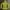 Mammut Gorpcore Windbreaker Pria yellow photo 1