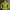 Mammut Gorpcore Windbreaker Pria Yellow