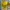 Knitt Yellow