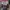 Watch dogs legion ps 4 photo 1