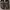 sandal slop, brand Hii Stranger 10 photo 1