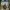 Watch dogs 2 ps 4 photo 1