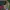 Watch dogs 2 ps 4 photo 4