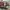 Jam tangan vintage swiss army photo 6