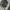 Tas tote kipling crossbody photo 5