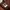 The North Face Gorpcore Y2K Vest Pria brown photo 5