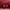 Furla Luxury Tas dompet Wanita pink photo 6