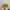 Timberland Rolltop not 6 Icon or 6 Inc photo 5