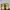 Timberland Rolltop not 6 Icon or 6 Inc photo 6