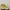 Timberland Rolltop not 6 Icon or 6 Inc photo 4