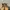 Timberland Boots 6 inch / 6 icon photo 4