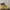 Timberland Boots 6 inch / 6 icon photo 3