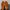 Timberland Boots 6 inch / 6 icon photo 5