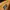 Timberland Boots 6 inch / 6 icon photo 7
