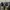 Timberland Rolltop Boots not 6 inch / 6 icon photo 7