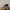 Timberland Rolltop Boots not 6 inch / 6 icon photo 1