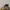 Timberland Rolltop Boots Not 6 Inch / 6 Icon