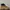 Timberland Rolltop Boots not 6 inch / 6 icon photo 4