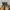 Timberland Rolltop Boots not 6 inch / 6 icon photo 3