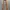 Streetwear Vintage Belt Pria brown photo 1