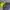 Helly Hansen Alvis Light Jacket Gorpcore photo 3