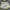Helly Hansen Alvis Light Jacket Gorpcore photo 6
