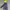 Helly Hansen Alvis Light Jacket Gorpcore photo 1