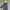 Helly Hansen Alvis Light Jacket Gorpcore