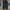 Longpants Dickies Double knee Dark Brown photo 1